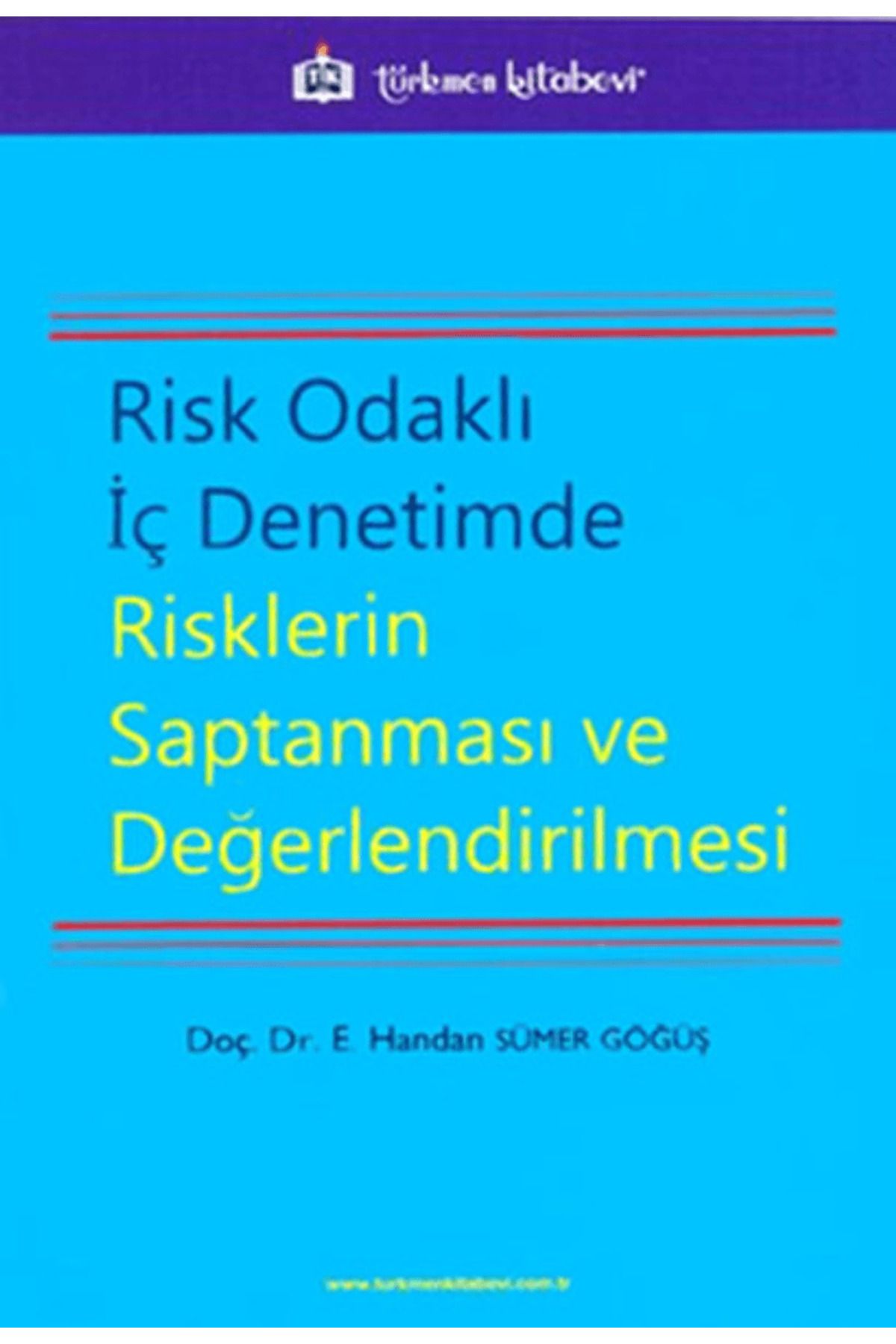 Türkmen Kitabevi Risk Odaklı İç Denetimde Risklerin Saptanması ve Değerlendirilmesi
