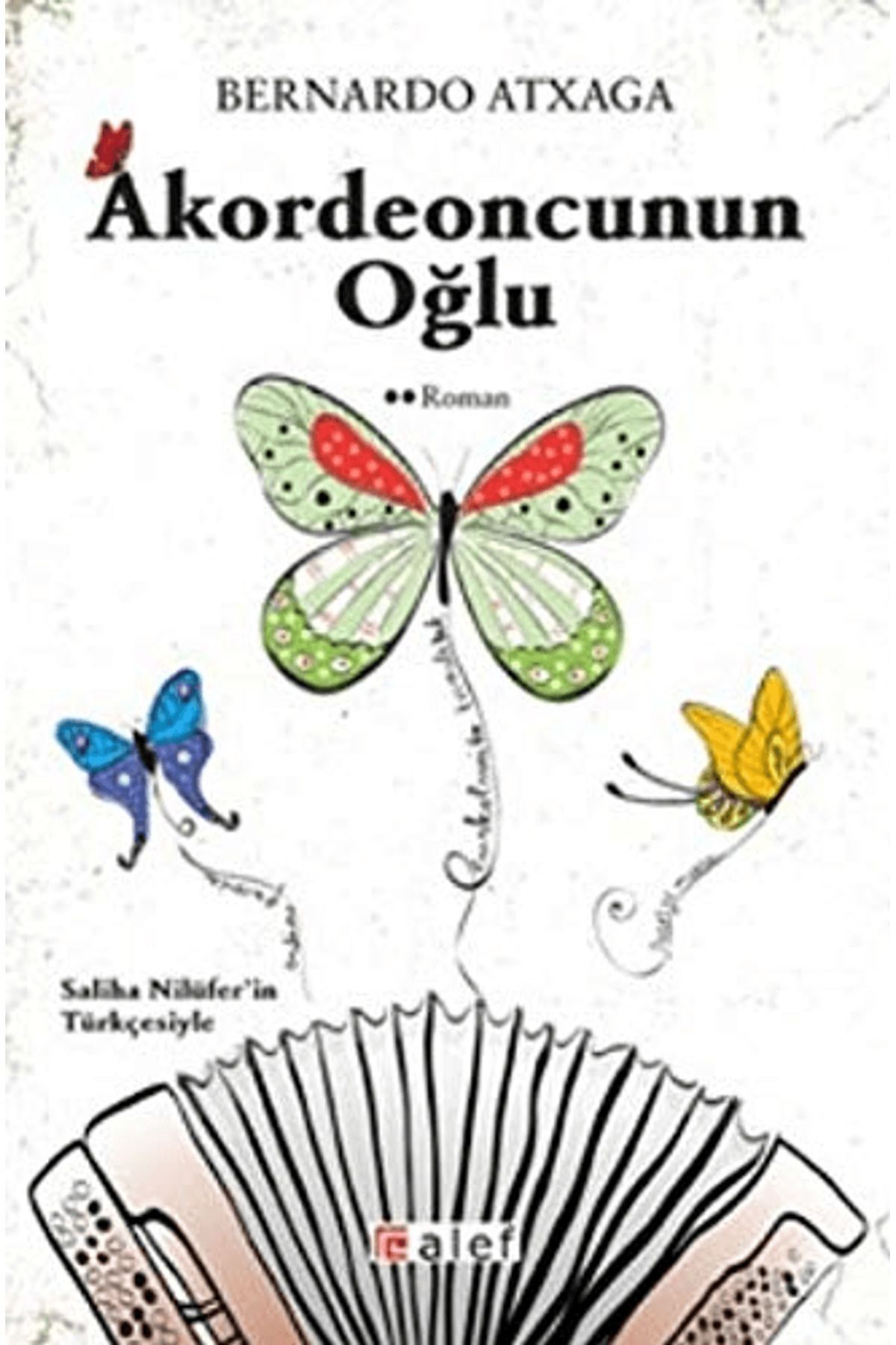 Alef Yayınevi Akordeoncunun Oğlu
