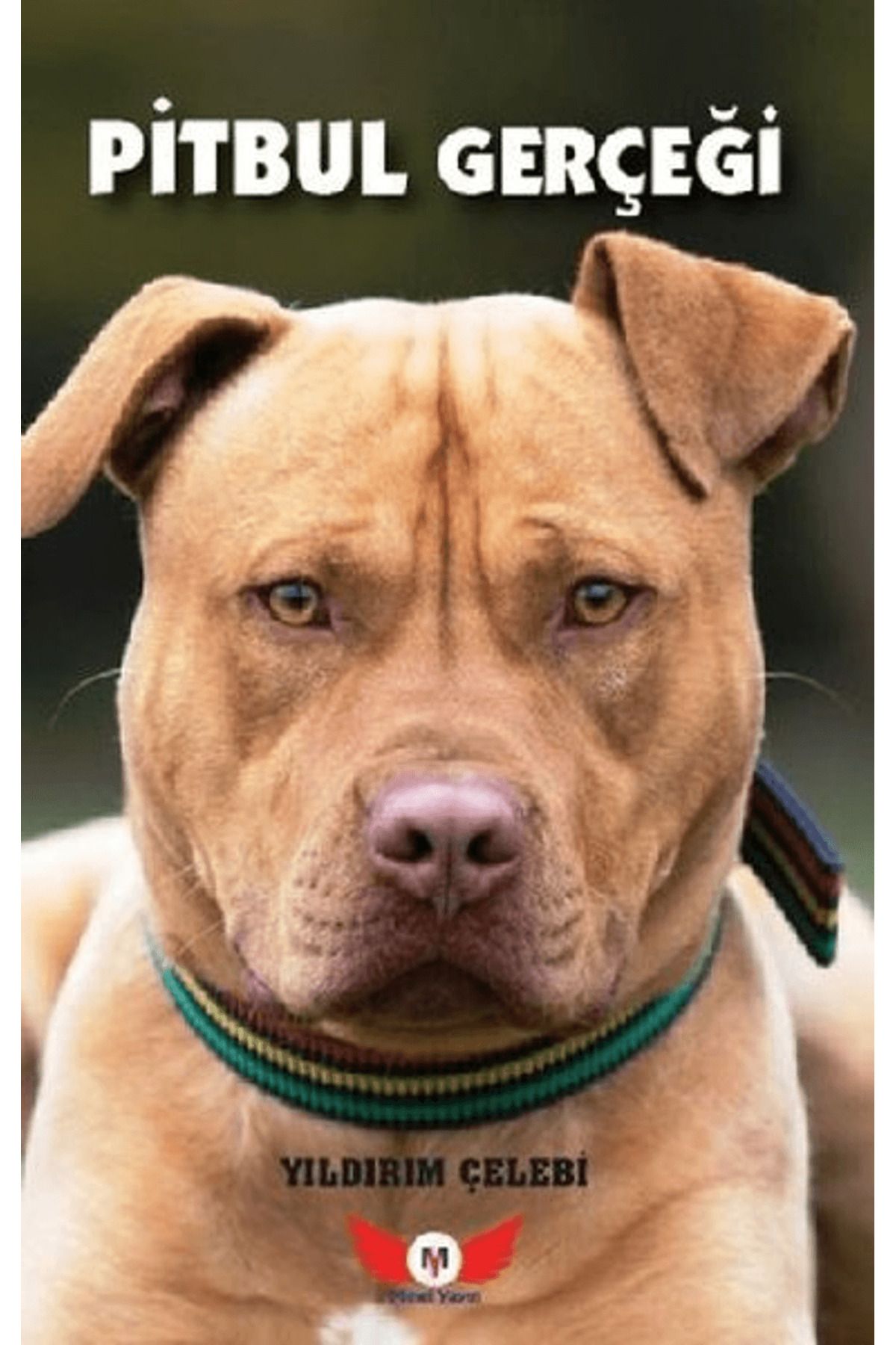Minel Yayın Pitbul Gerçeği