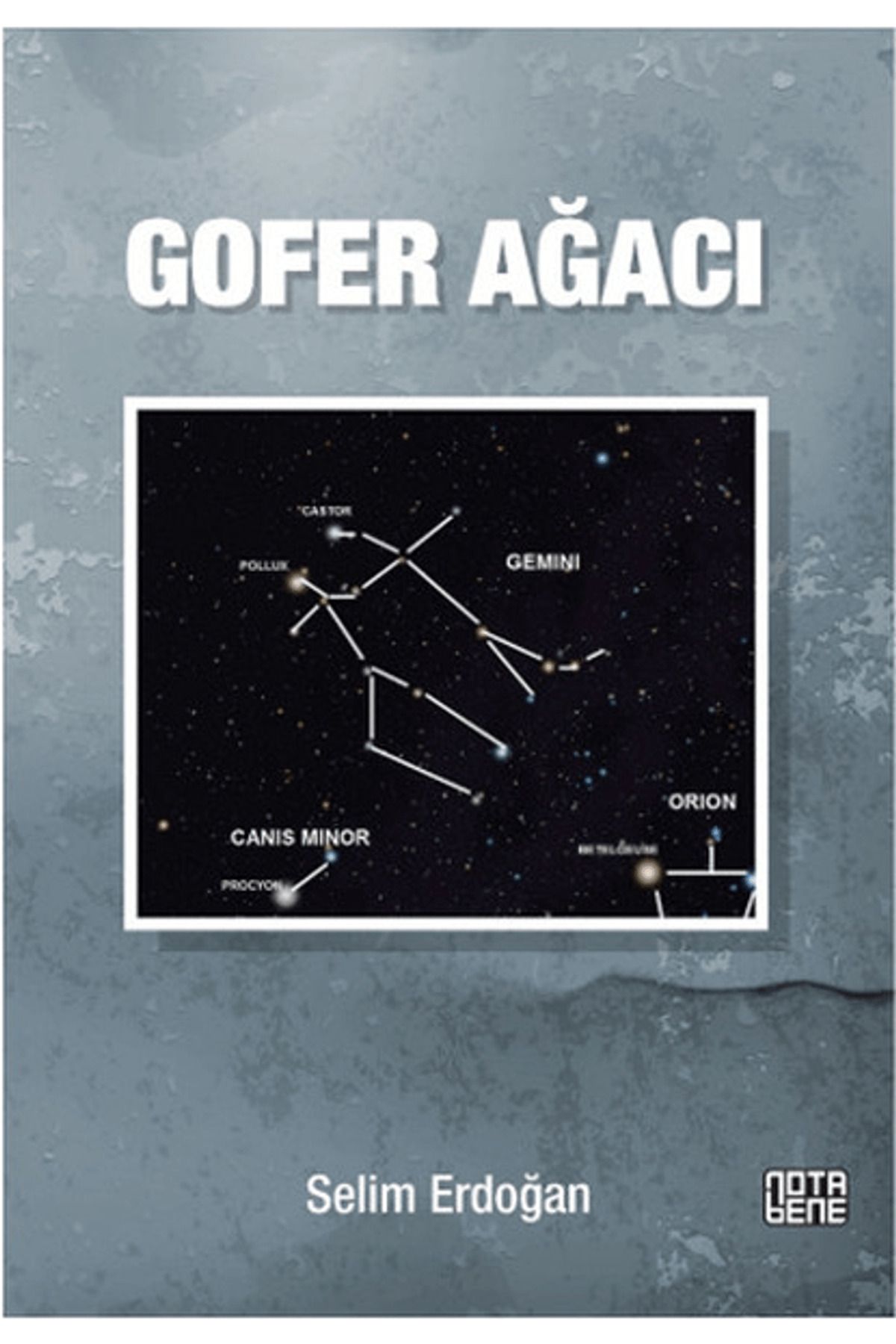 Nota Bene Yayınları Gofer Ağacı