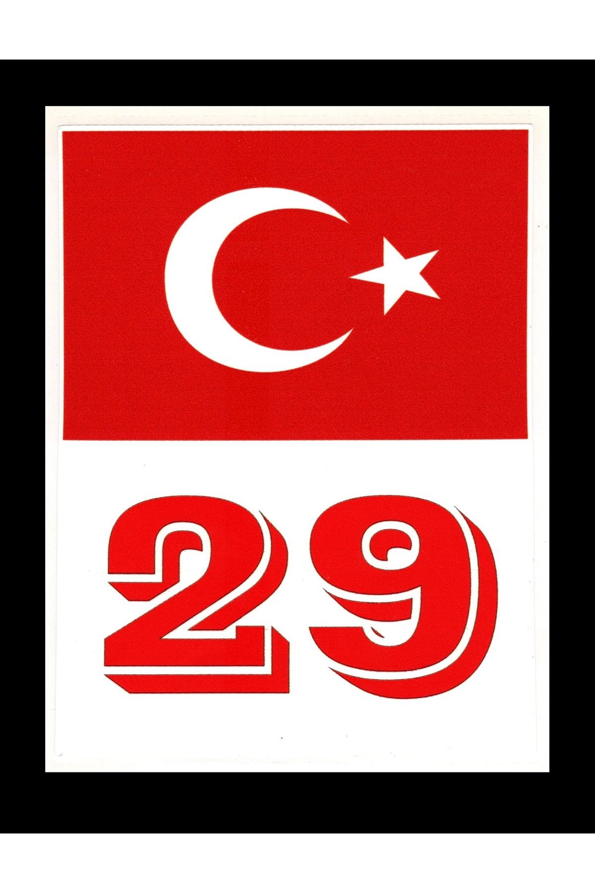 BsElektronik Türkiye Bayraklı Gümüşhane 29 Plaka Kodu Ön Cam Sticker