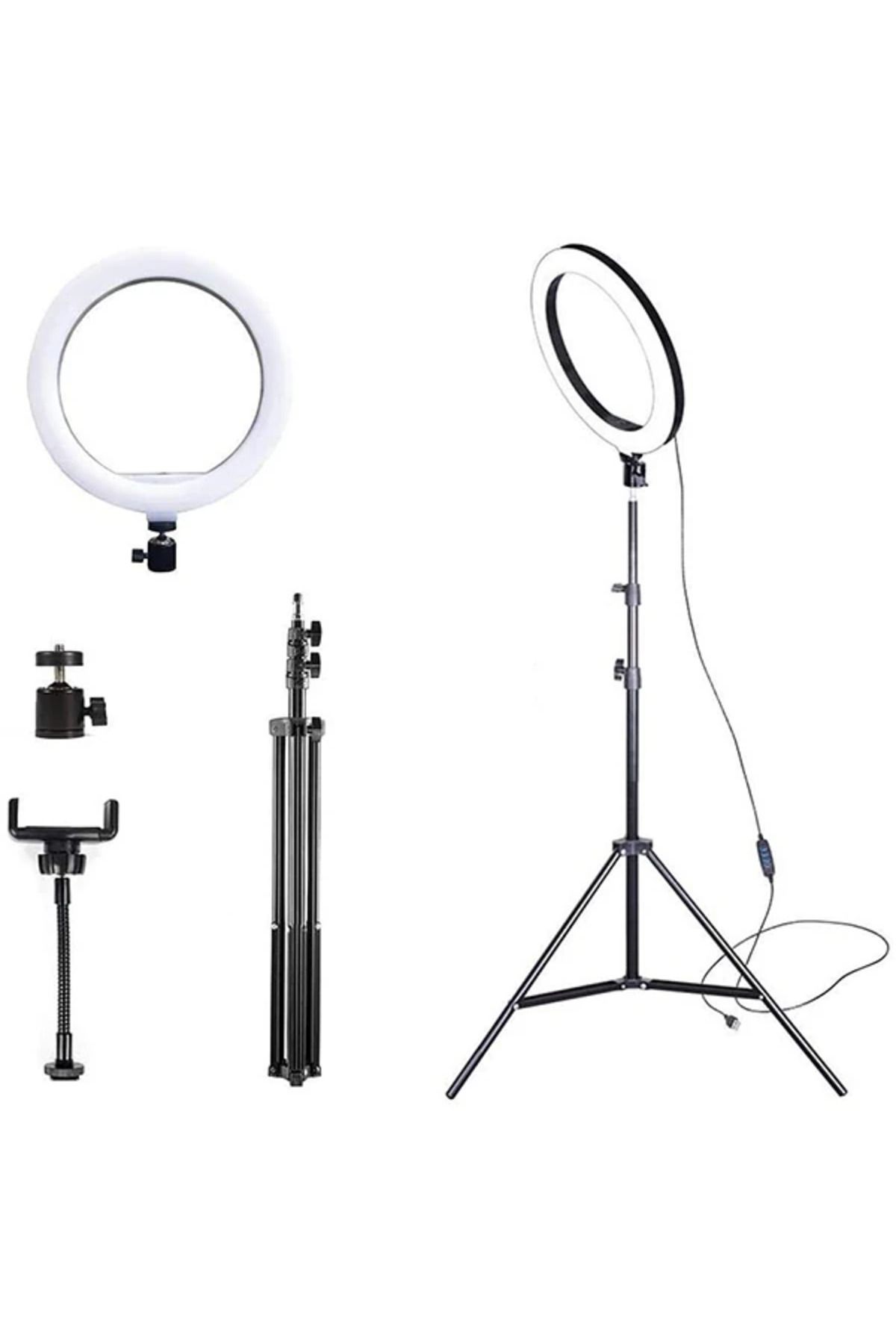 Mobil Dünyası ALLY 10 İnch Halka Led Tripod(1.30M)Youtuber Video Selfie Stüdyo Makyaj Işığı- - DGL6197-5524