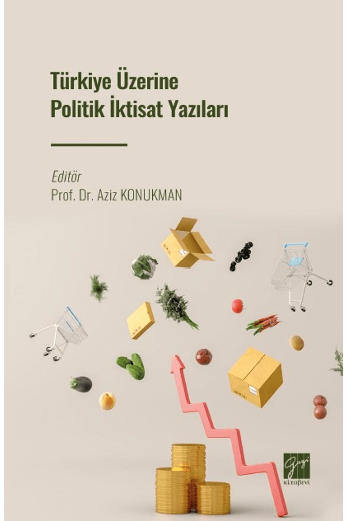Gazi Kitabevi Türkiye Üzerine Politik İktisat Yazıları