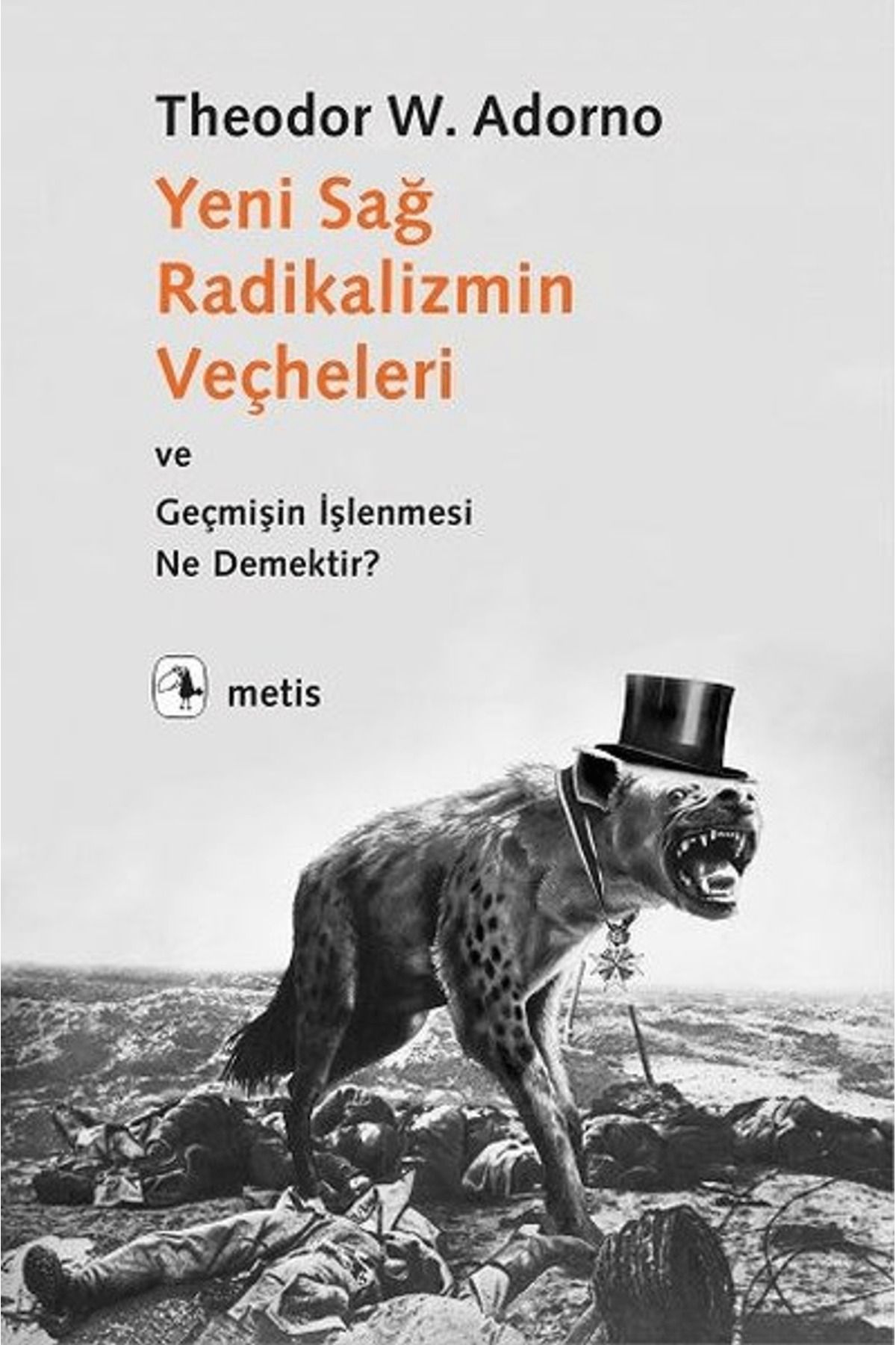 Metis Yayınları Yeni Sağ Radikalizmin Veçheleri ve Geçmişin İşlenmesi Ne Demektir ?