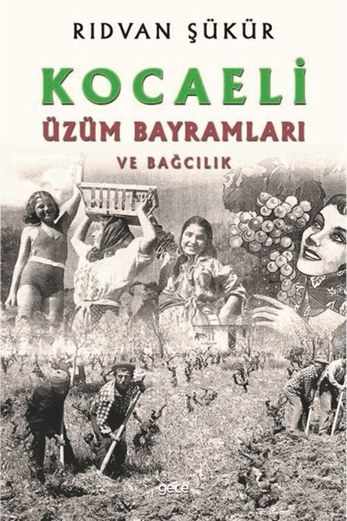Gece Kitaplığı Kocaeli Üzüm Bayramları ve Bağcılık