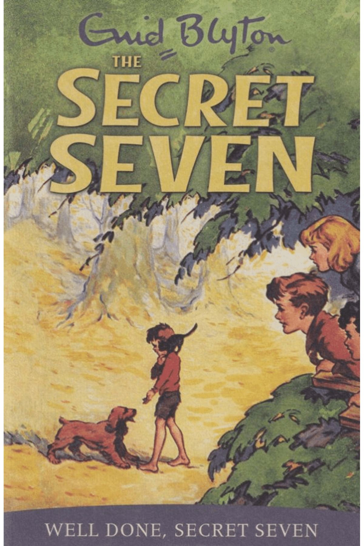 Hodder Books Secret Seven: Well Done Secret Seven: Book 3