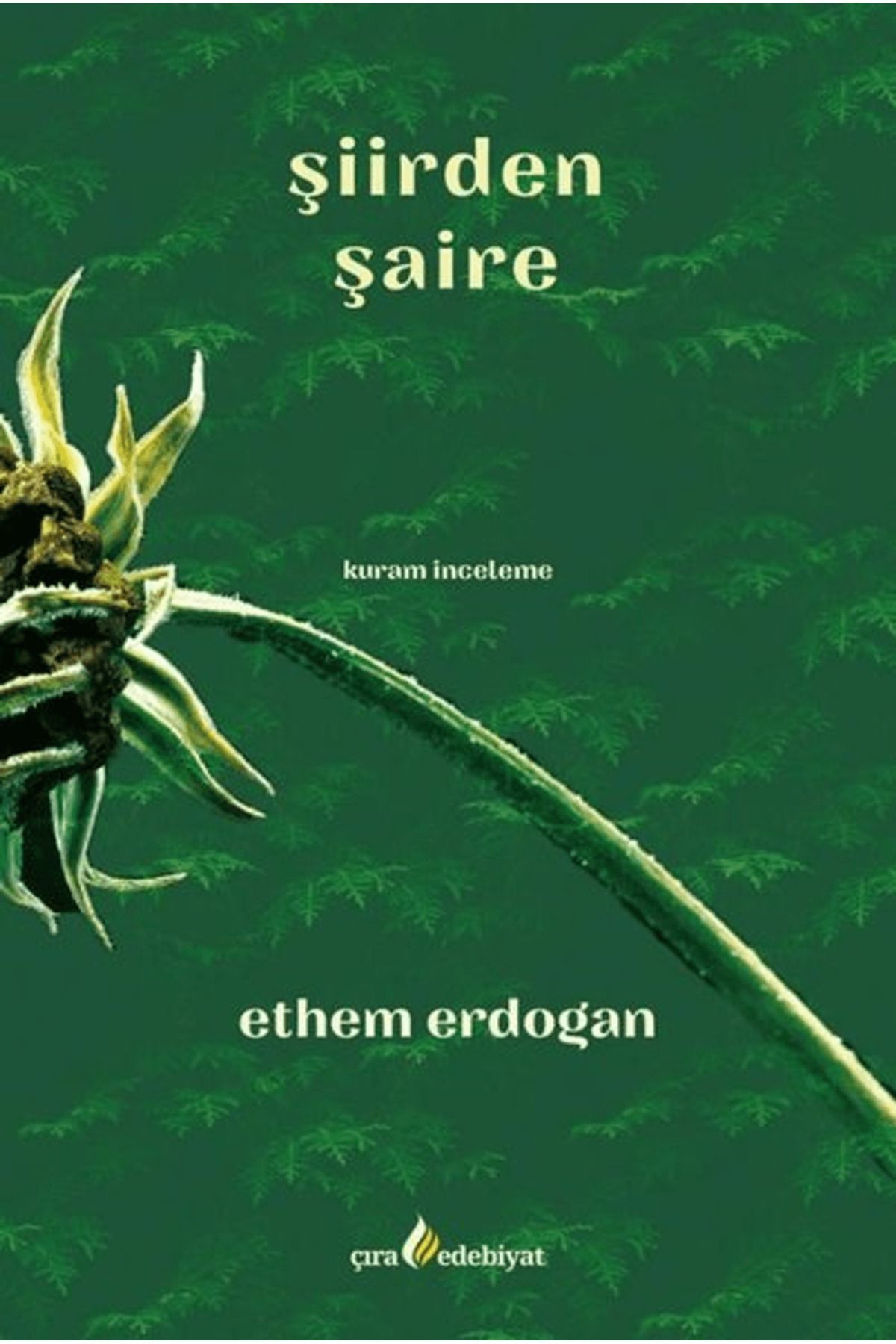Çıra Yayınları Şiirden Şaire