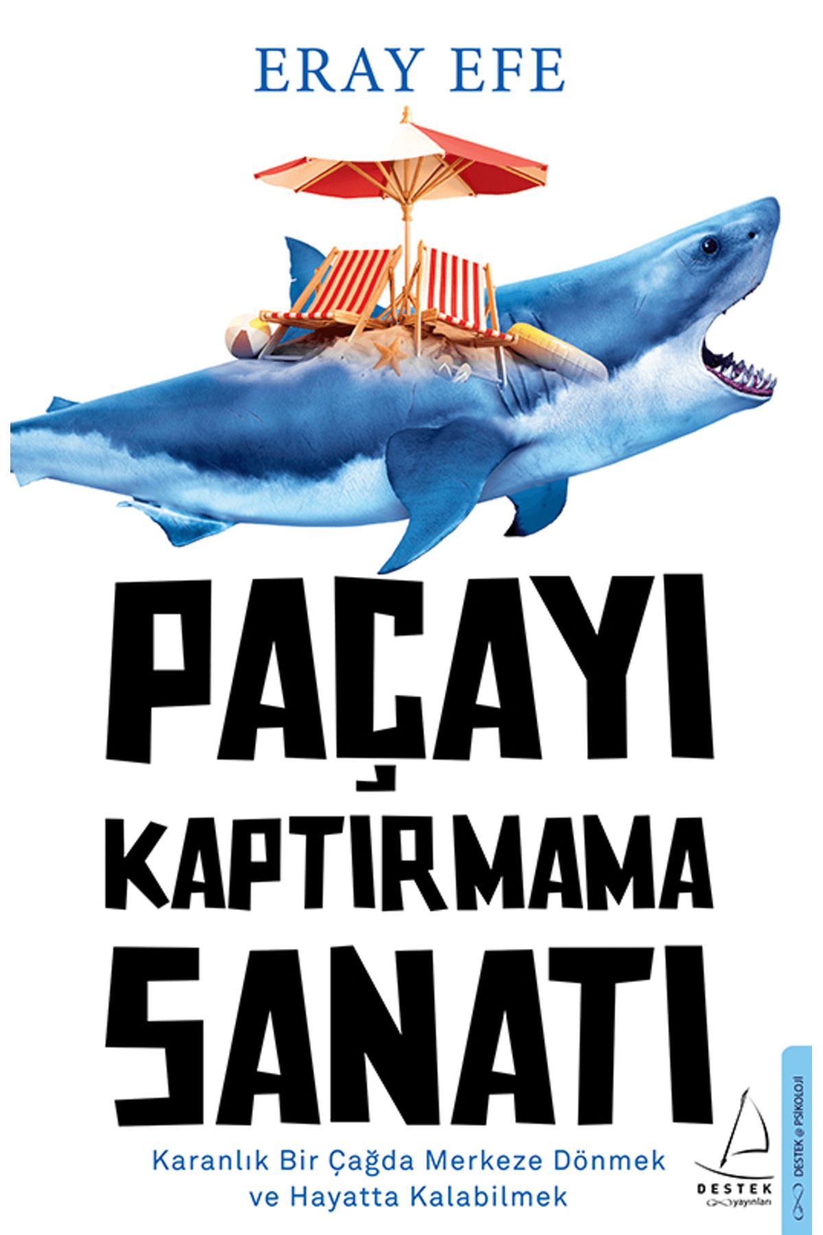 Destek Yayınları Paçayı Kaptırmama Sanatı