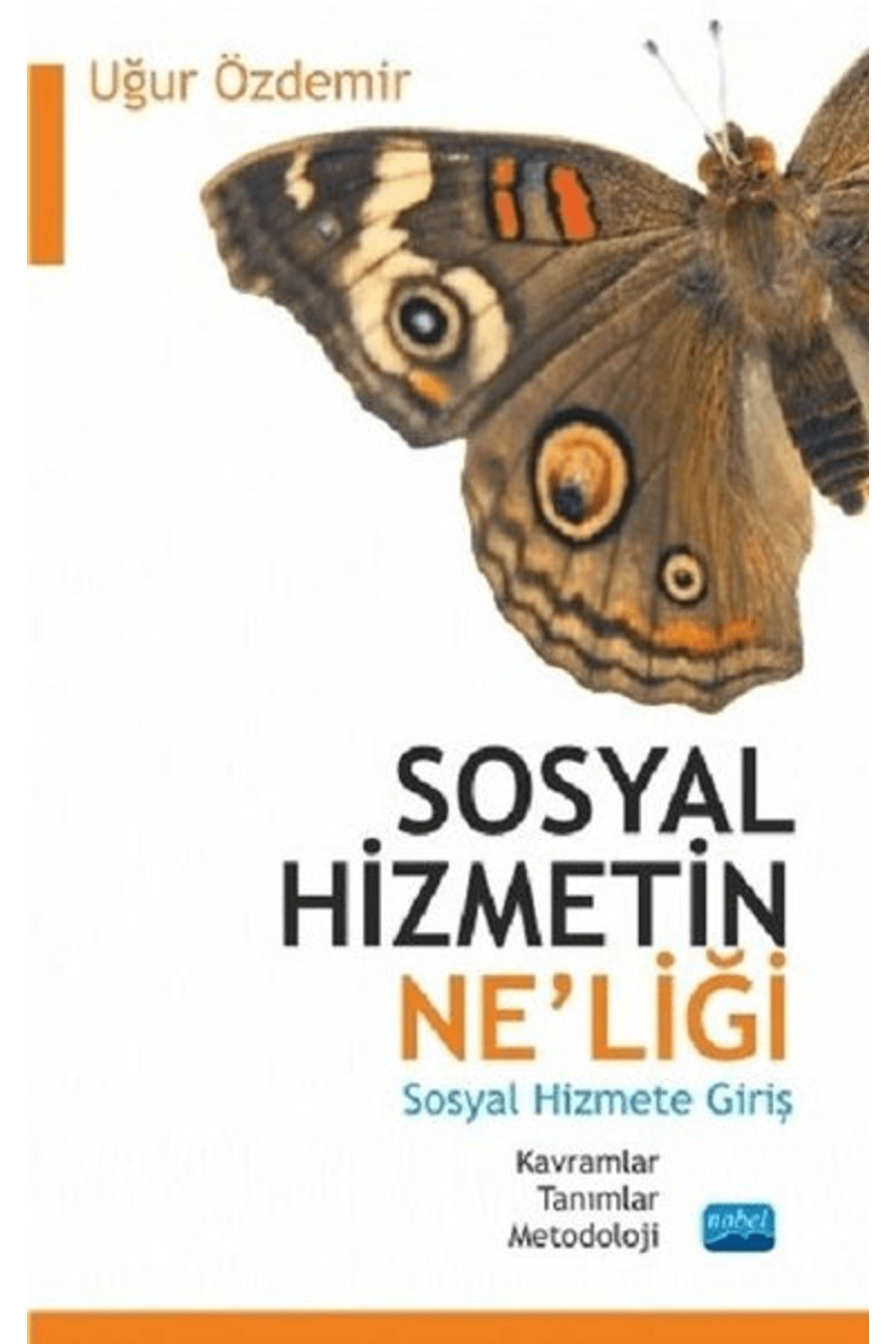 Nobel Akademik Yayıncılık Sosyal Hizmetin Ne'liği - Sosyal Hizmete Giriş
