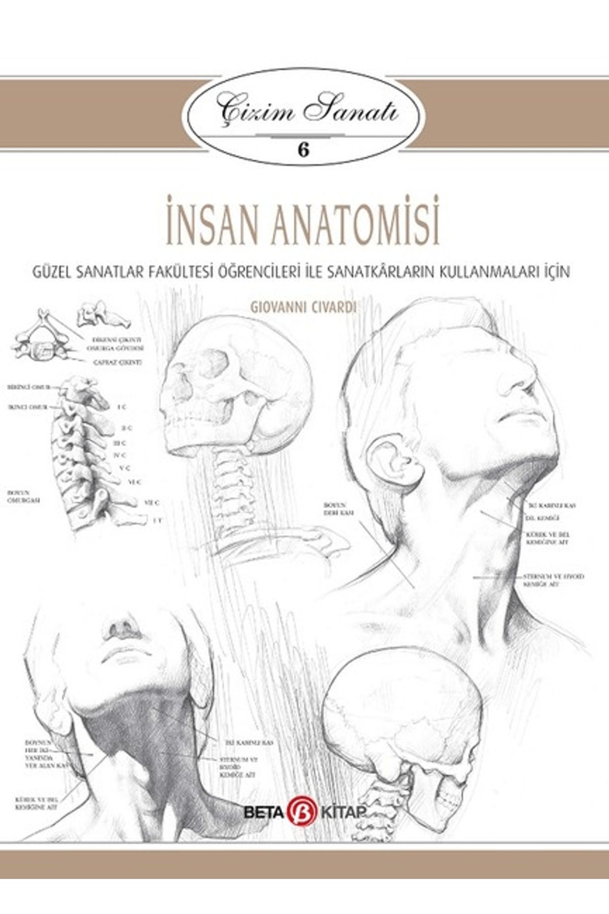 Beta Kitap İnsan Anatomisi - Çizim Sanatı 6