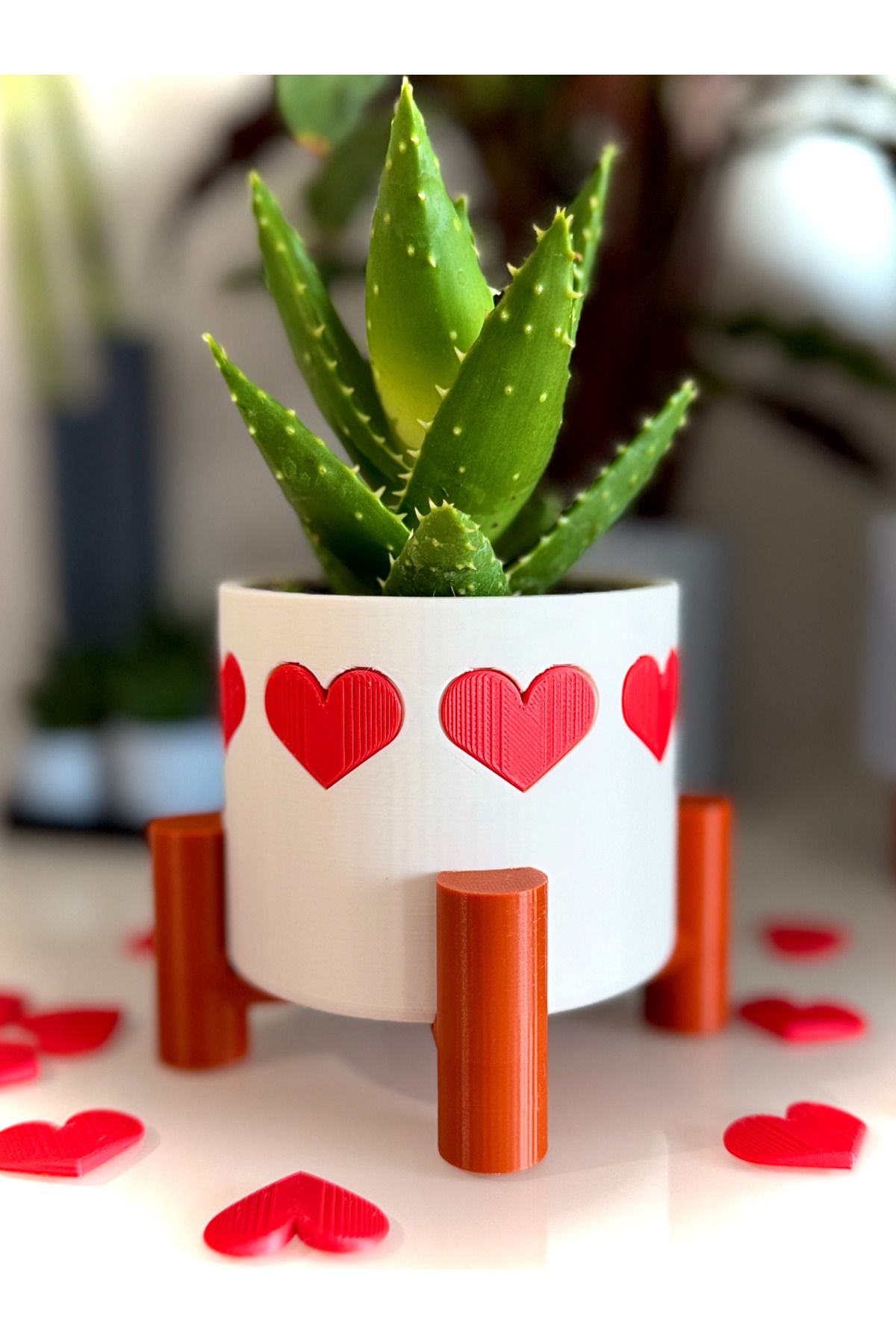 printastic Modern Ayaklı Kalp Kaplı Kaktüs Saksı