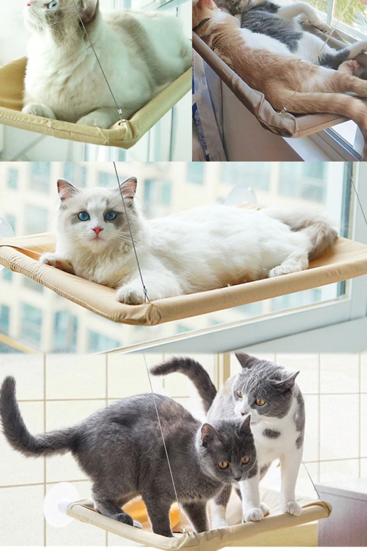 Askımo Yeni Model Cam Ve Duvar Için Kedi Yatağı Vantuzlu Pencere Cama Yapışan Evcil Hayvan Asılabilir Yatak
