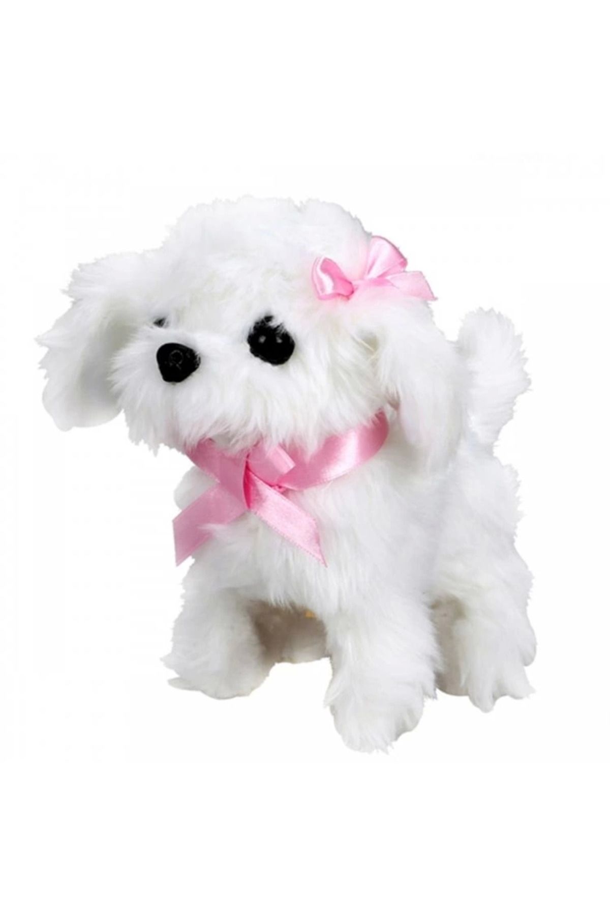 Vita Premio BFS Sunman Sevimli Köpek Maltese