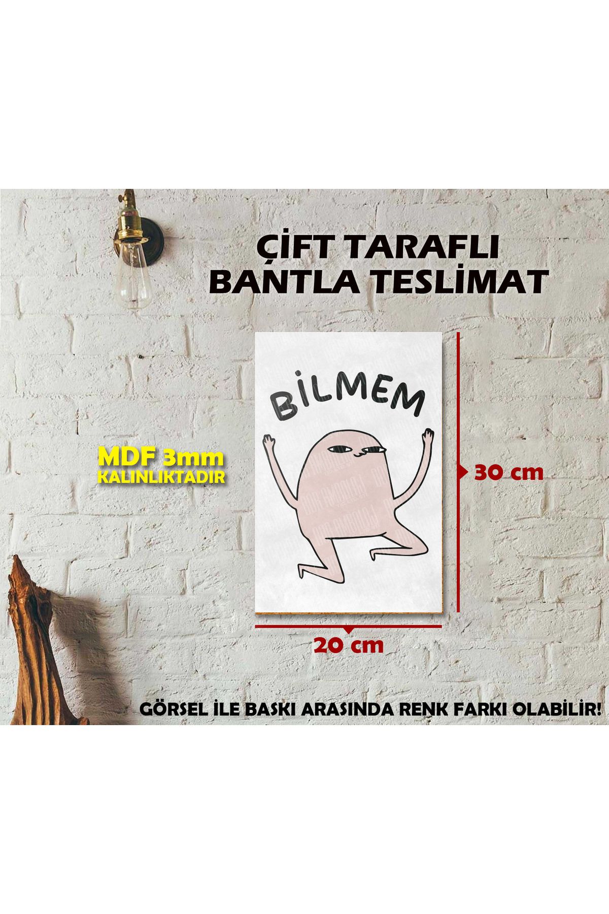 Borambalaj Komik Bilmem Yazılı Karakter Tablosu 20x30 cm
