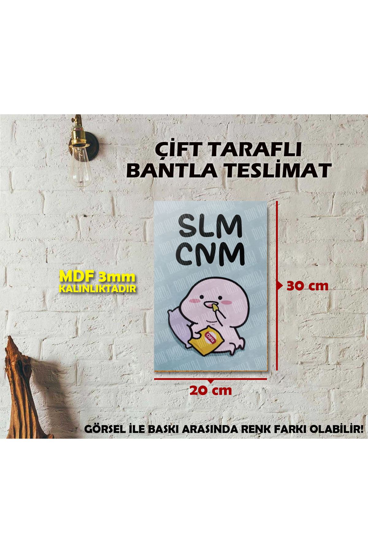 Borambalaj Komik Slm Cnm MDF Tablosu 20x30 cm