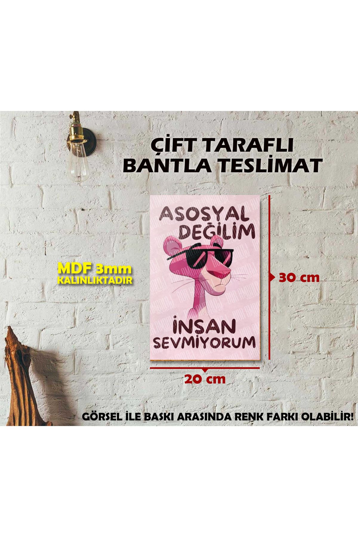 Borambalaj Asosyal Değilim Poster MDF Tablosu 20x30