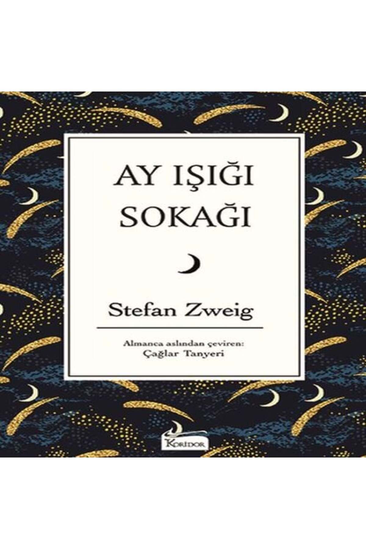 Destek Yayınları Ay Işığı Sokağı Bez Ciltli