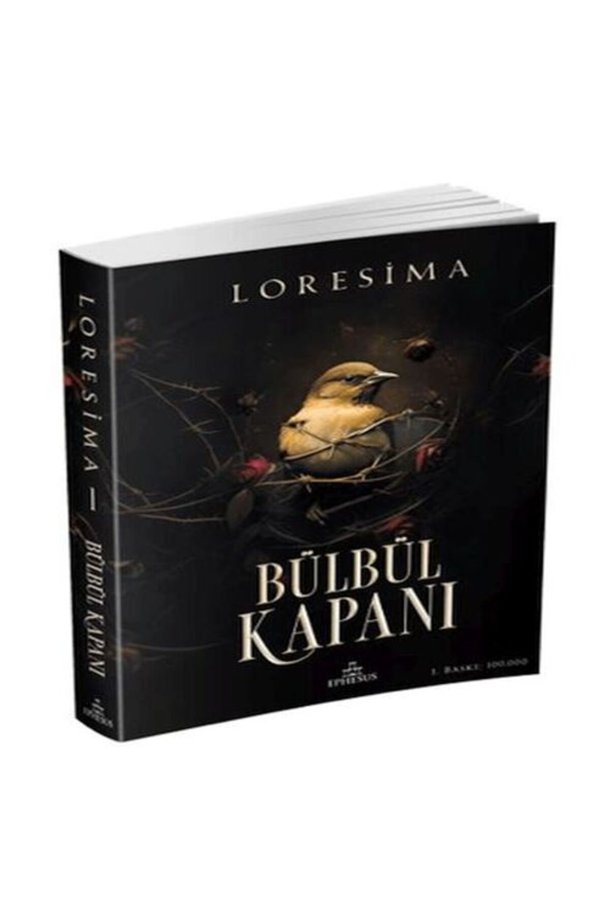 Karatay Yayınları Bülbül Kapanı 1