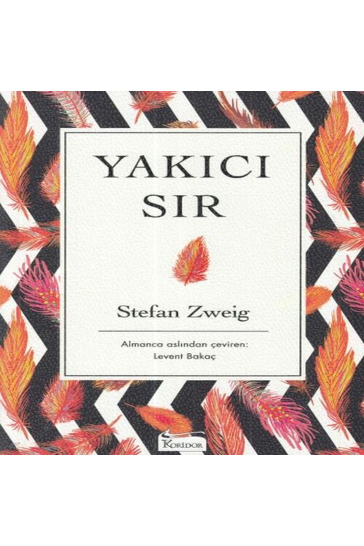 Destek Yayınları Yakıcı Sır Ciltsiz