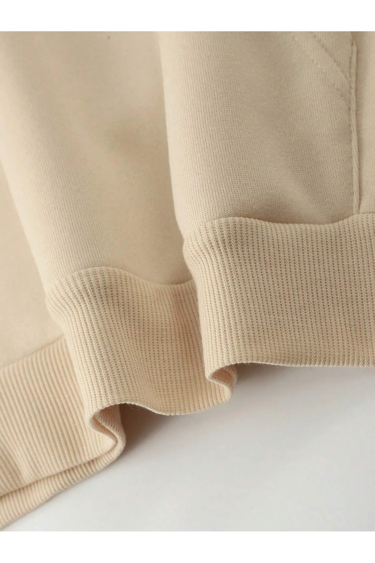 DAXİS Sportwear Company UNISEX Kapüşonlu Baskılı Büyük Beden Sweatshirt görsel 3
