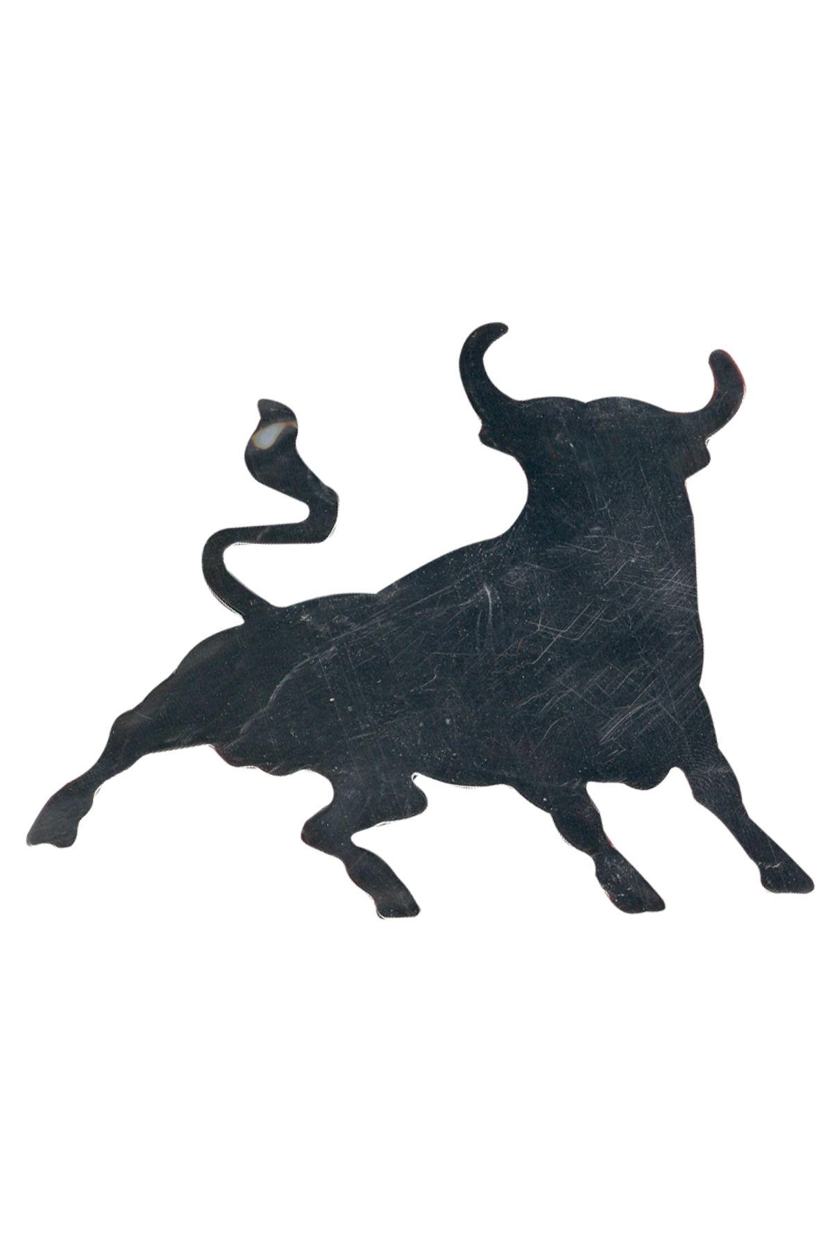 Space Krom Boğa Logo / YACI40
