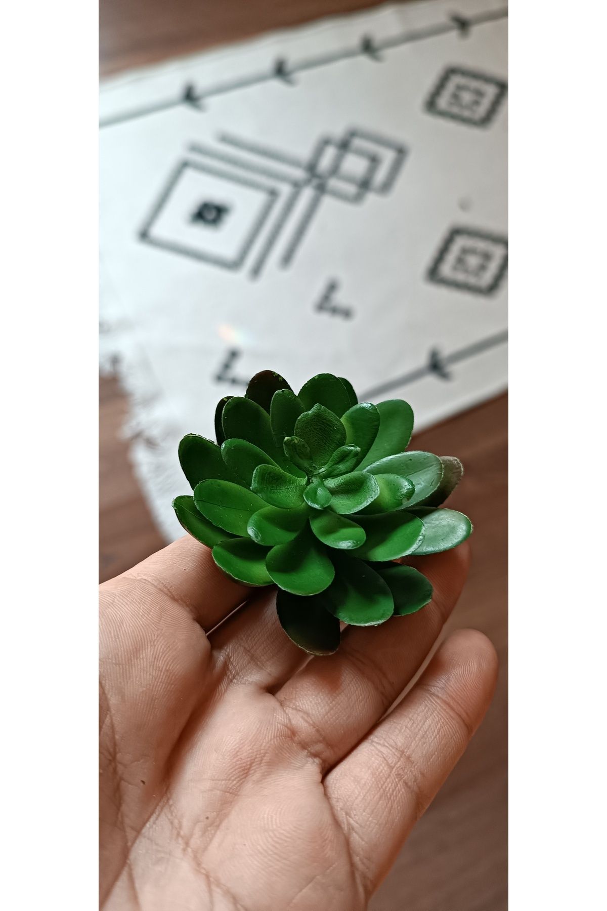 Elioure Yeşil Yapay Sukulent Seti, 2'li, Doğal Görünüm, 7x6 cm