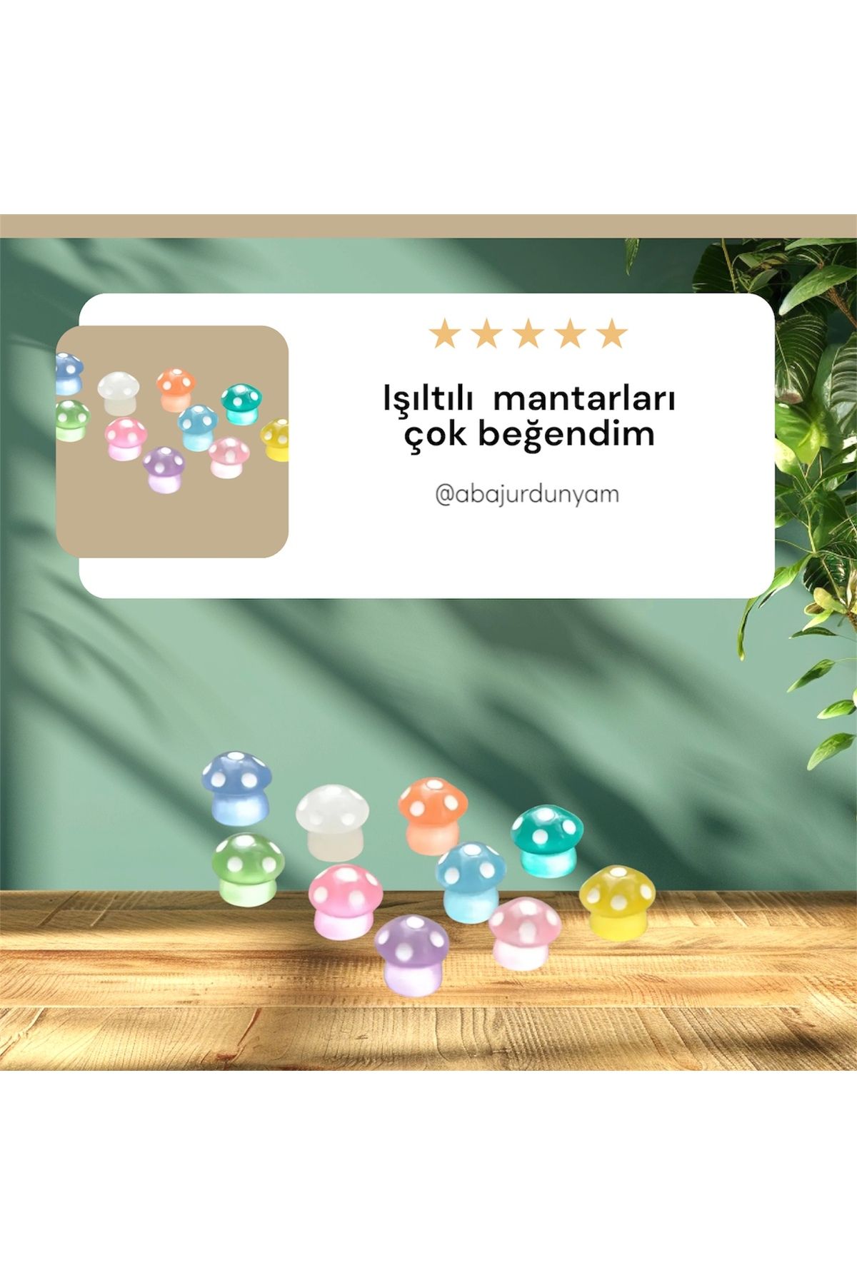 China Karanlıkta parlayan mantar 5 Li