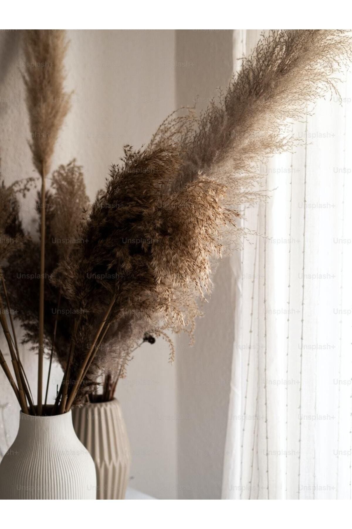 Elioure 20 Adet Bej Pampas Kuru Çiçek, 100 cm, Zarif Dekorasyon Malzemesi