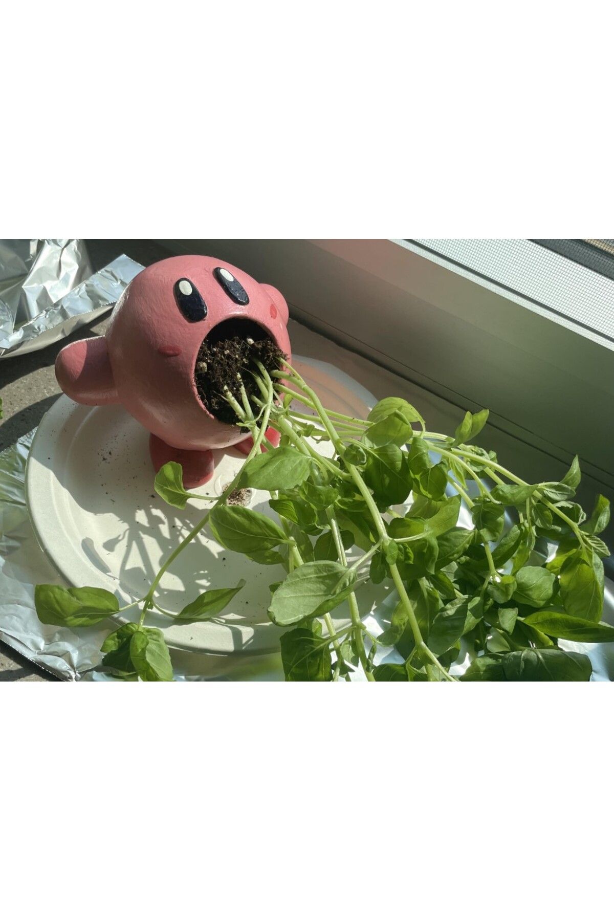 talaşoğlu Kirby ekici