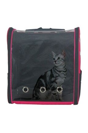 Catit Cabrio Carrier Turquoise Trendyol
