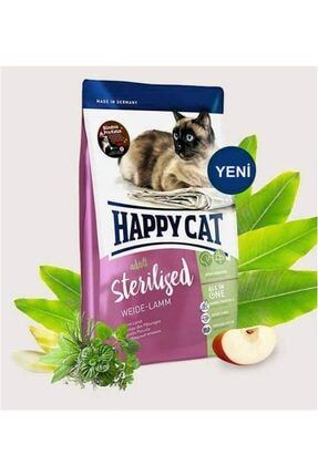 happy cat sterilized kisirlastirilmis