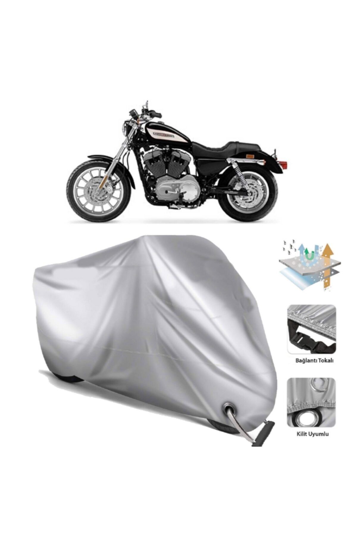 Motor sportster clearance