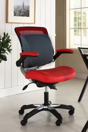 Officekup Avantajli 4 Lu Ofis Seti Visco Bel Destek Yastigi Oturma Minderi Mousepad Kupa Flamingo Trendyol