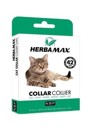 max biocide herba bitkisel kedi ense