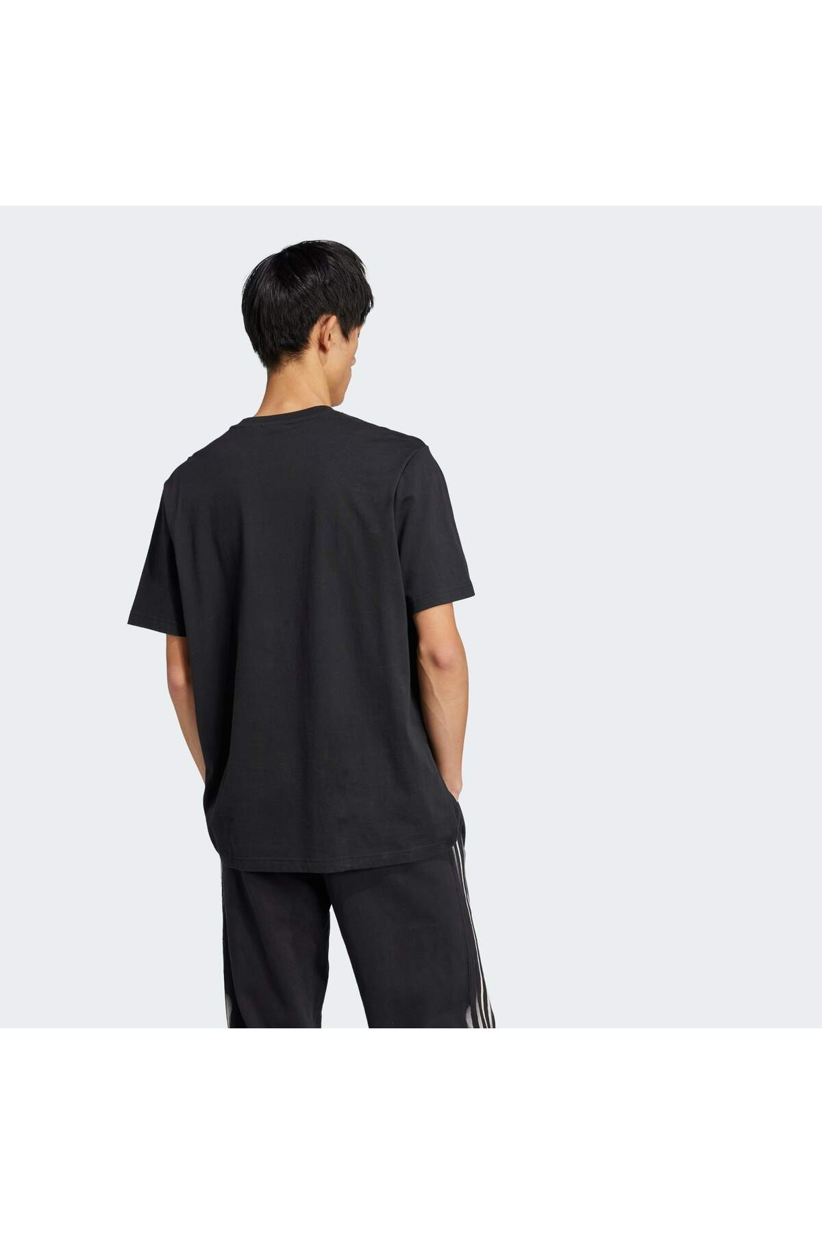 adidas Skeleton Trefoil Tee görsel 4