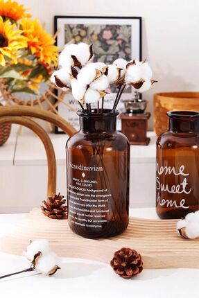 Binbirdemet Scandinavian Amber Cam Vazo