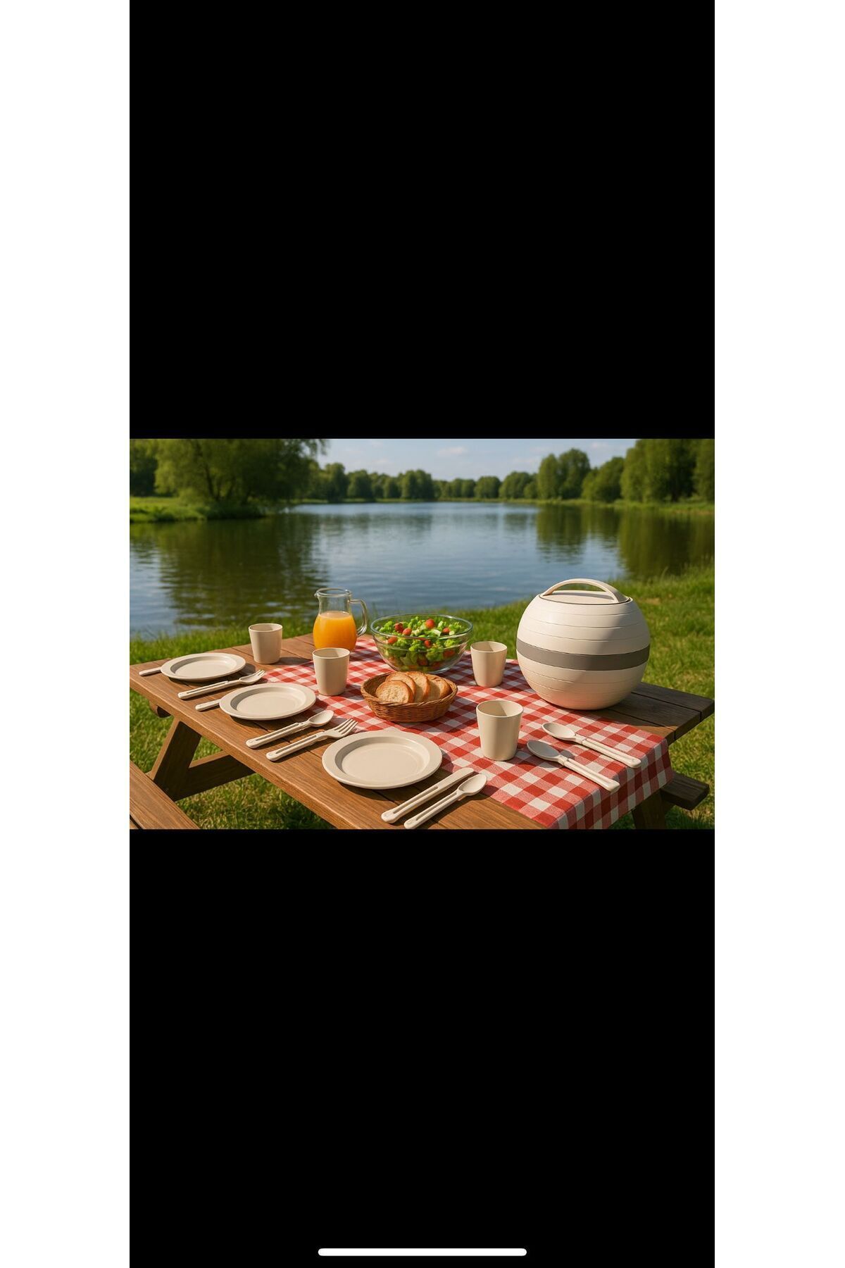 Feronyahome & Garden-Stylish and Practical Easy-To-Use Picnic Set for 6 People 4