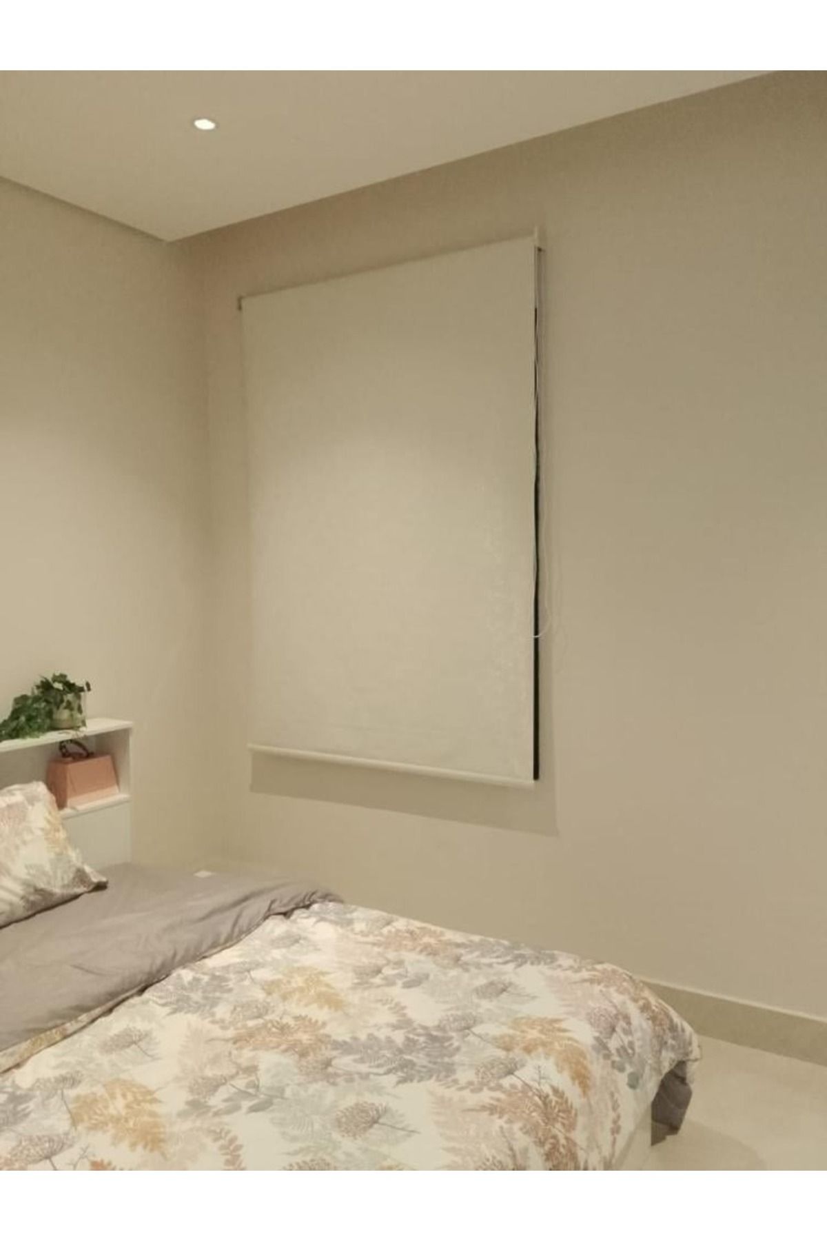 DEC4-Tree roller blinds add a touch of elegance and privacy 3