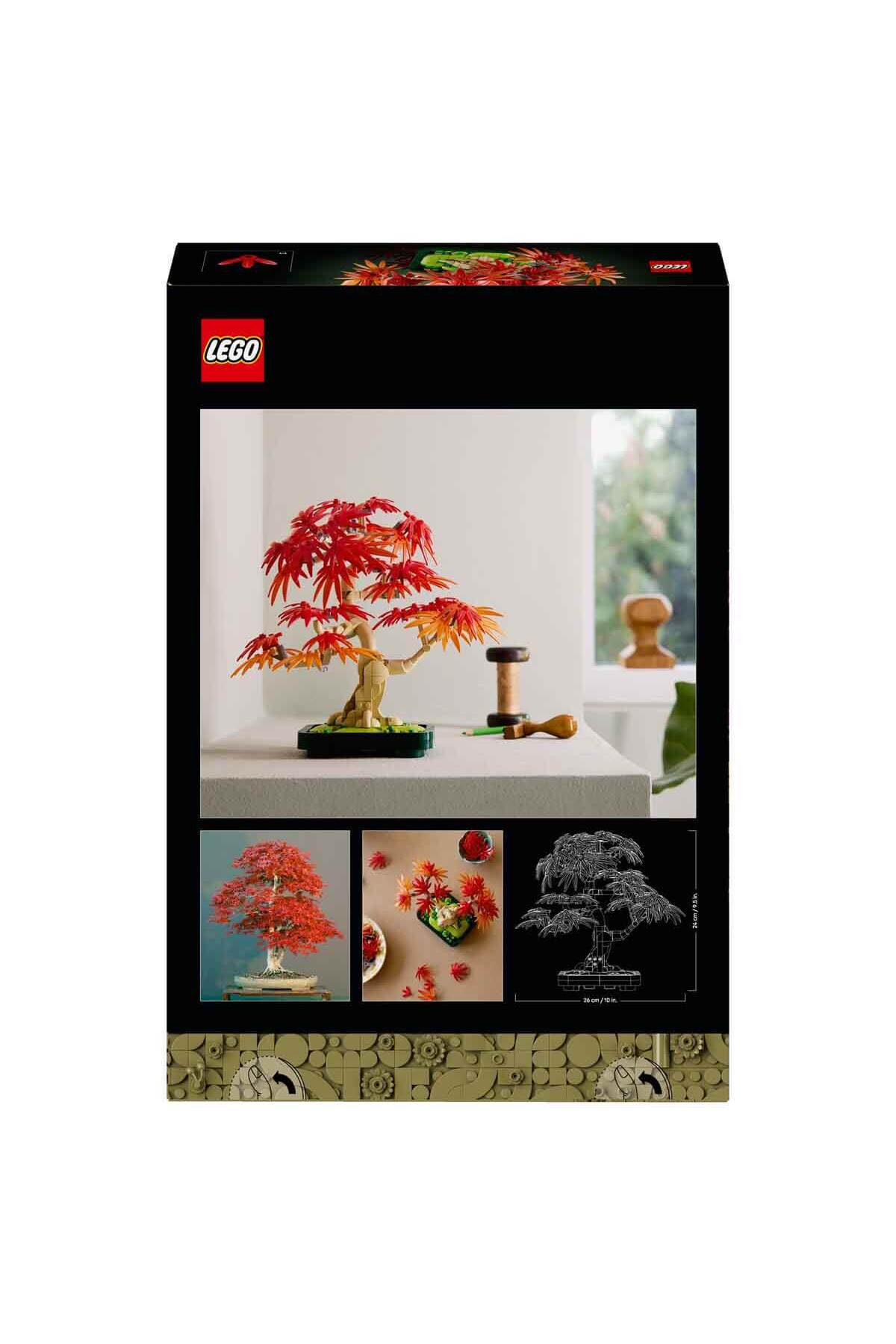 بوتانیکالز بونسای درخت افرا قرمز ژاپنی ۱۰۳۴۸ - مدل تزئینی برای بزرگسالان