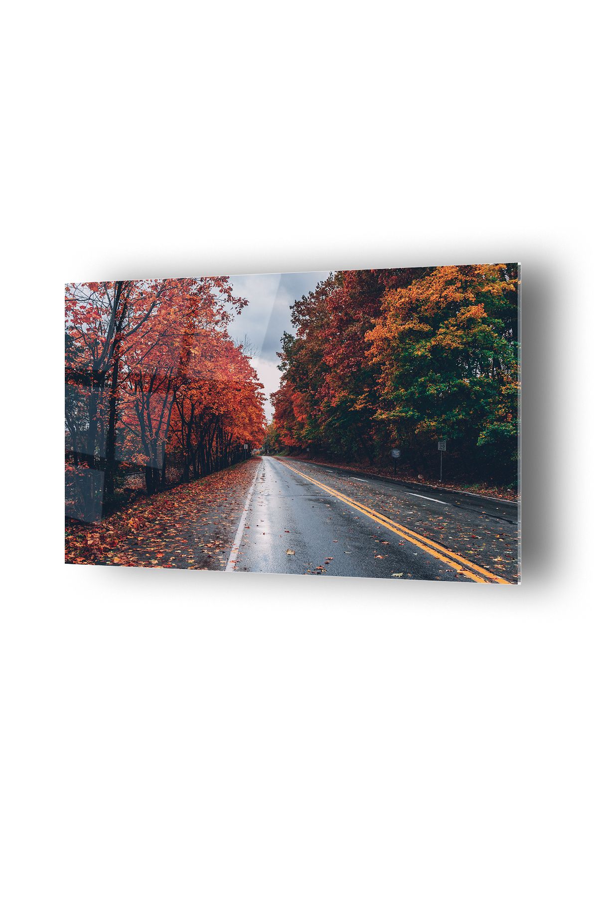 no77decor Kızıl Ağaçlı Yol Temalı Cam Tablo