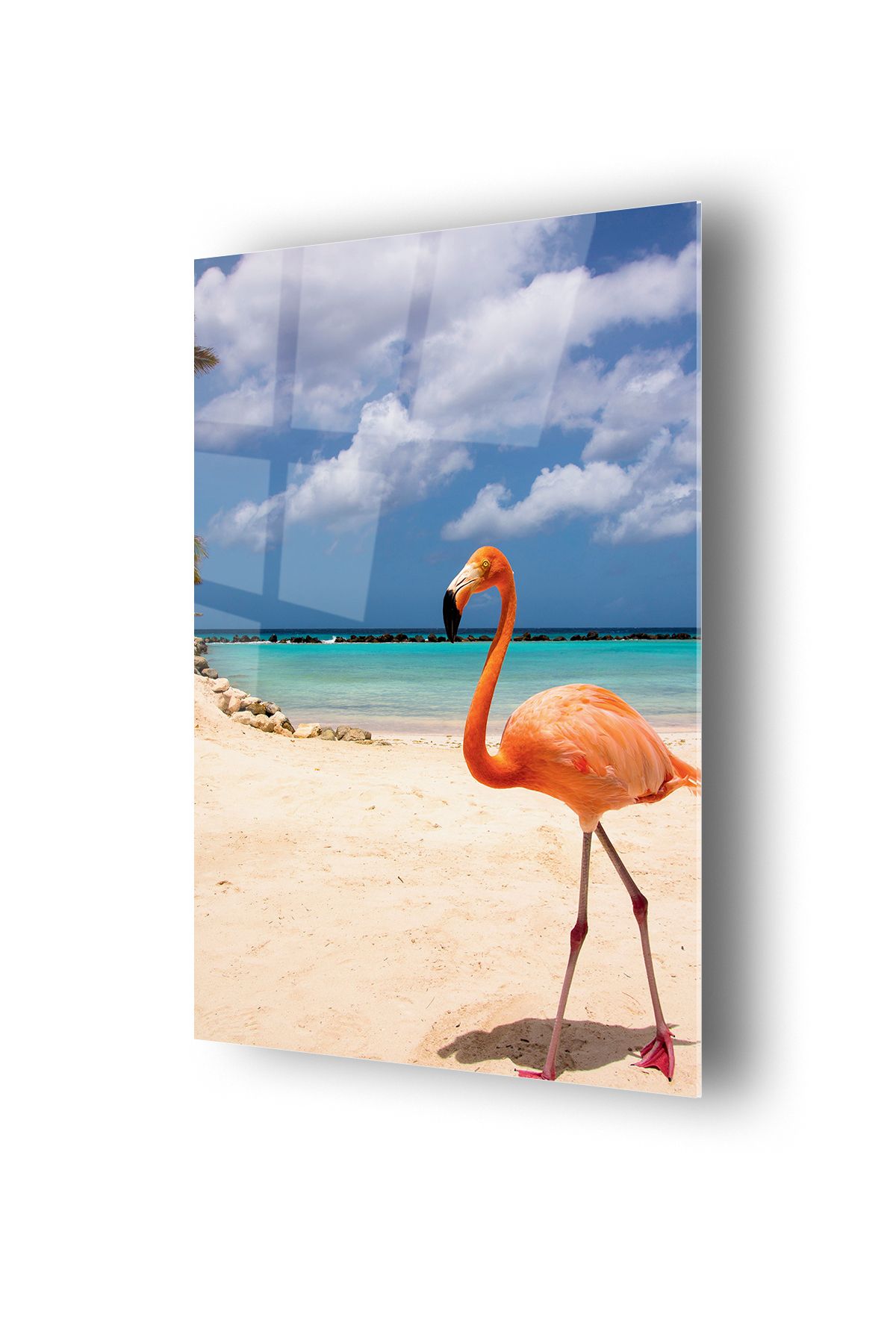 no77decor Flamingo Temalı Cam Tablo