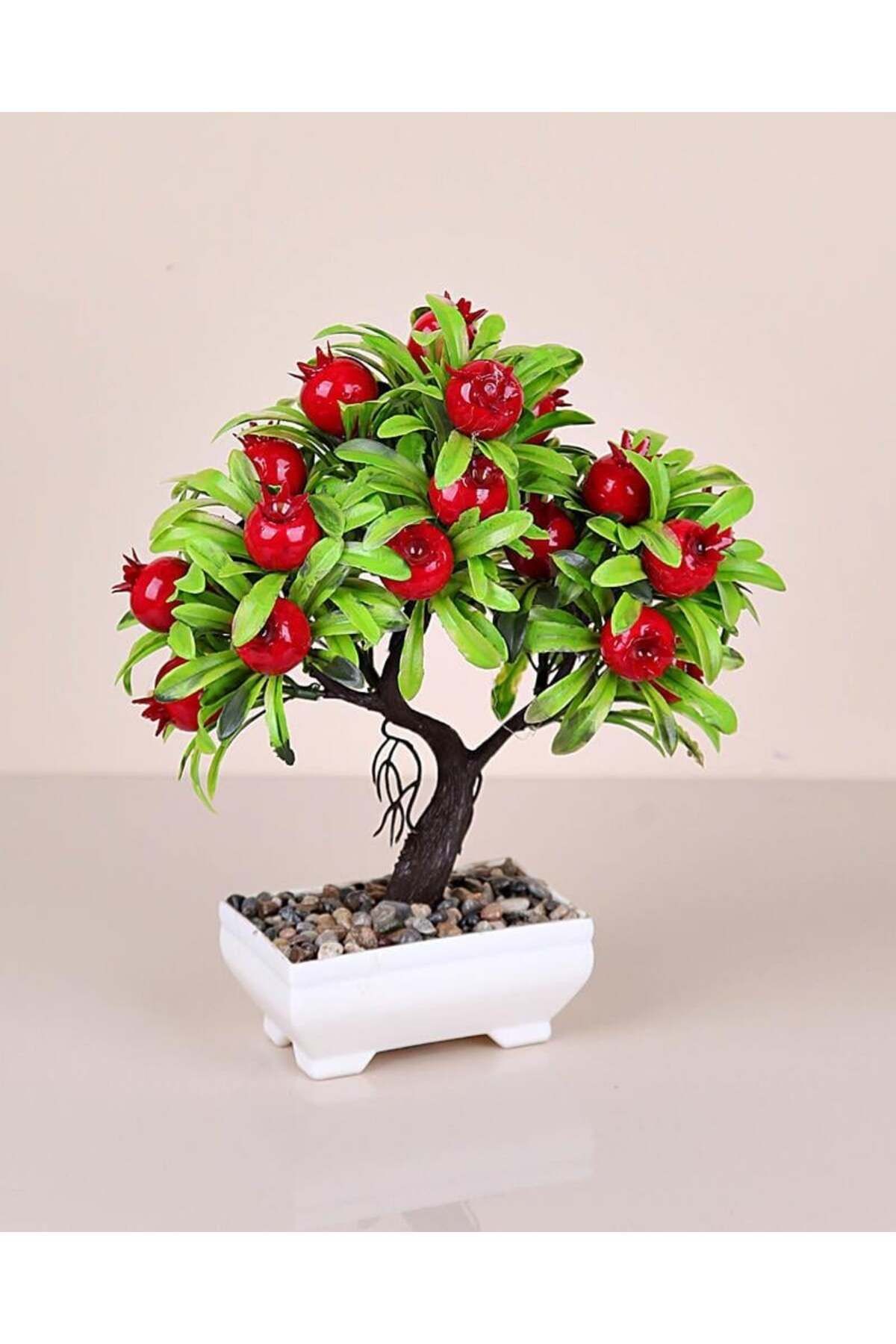 Wodsco EVA-5698 NAR AGACI PK:36 LI