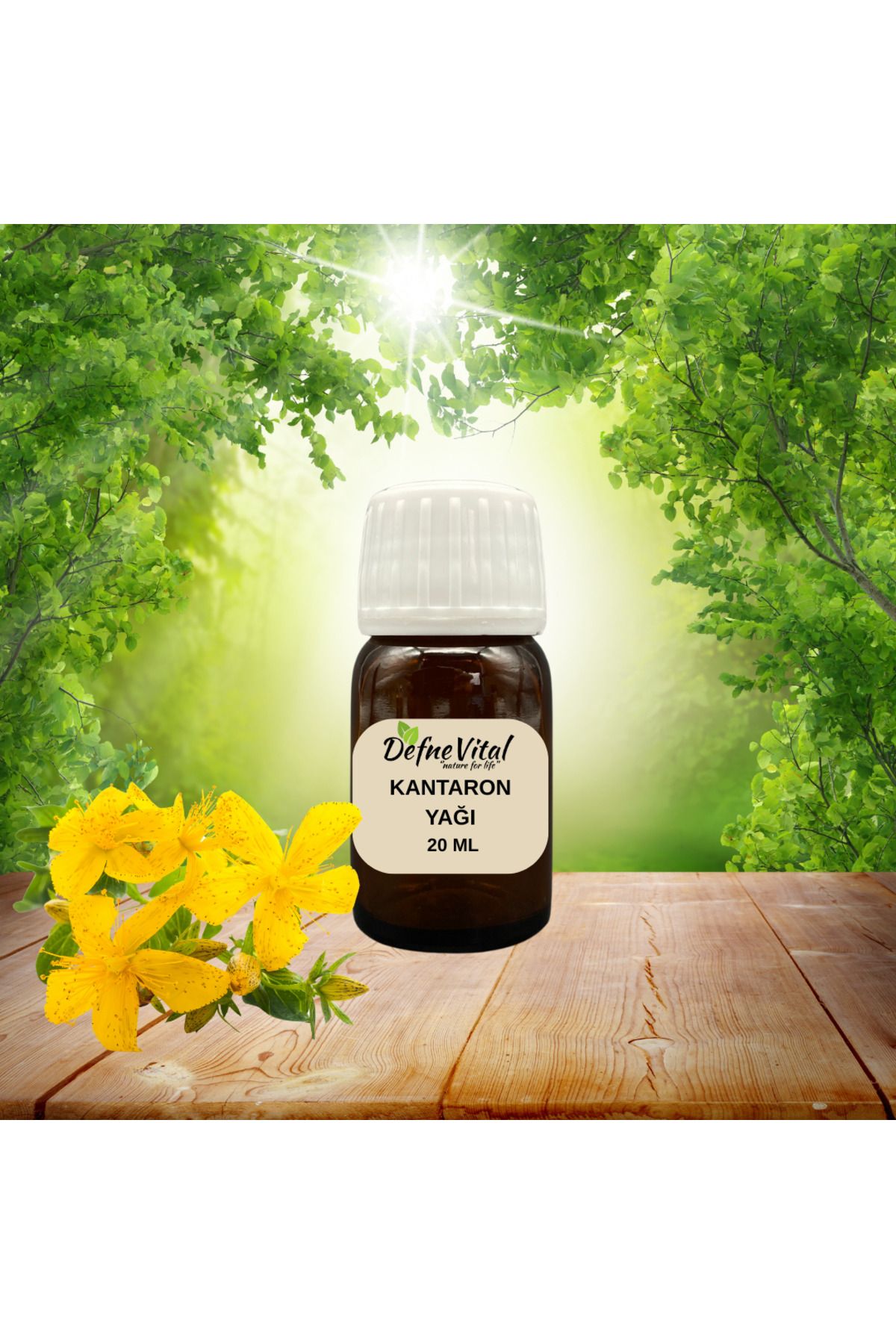 DEFNE VİTAL KANTARON YAĞI 20 ML