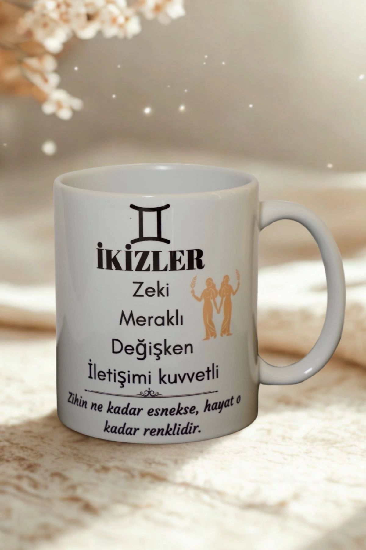 Ahinur Mutfak İkizler Burcu Temalı Burç Bardağı Kupa