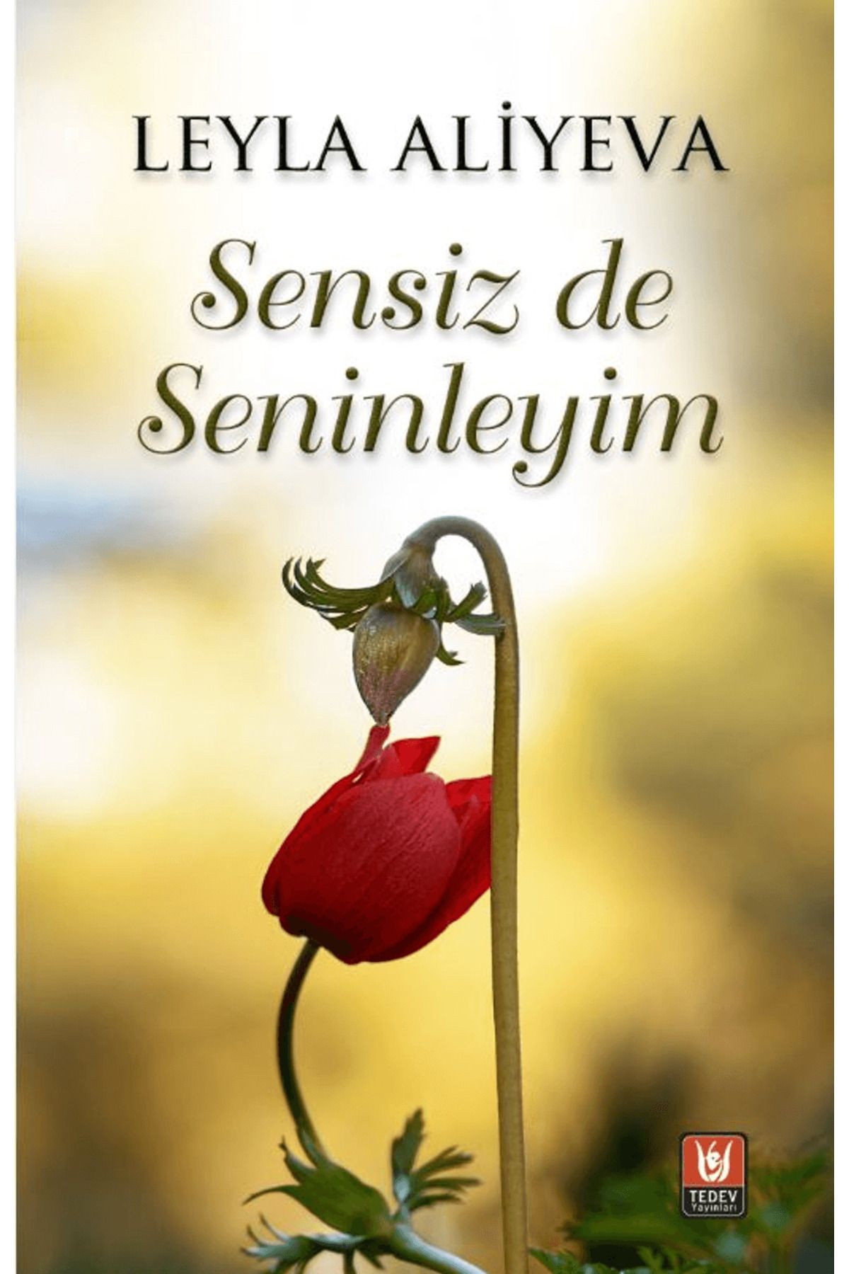 Tedev Yayınları Sensiz de Seninleyim