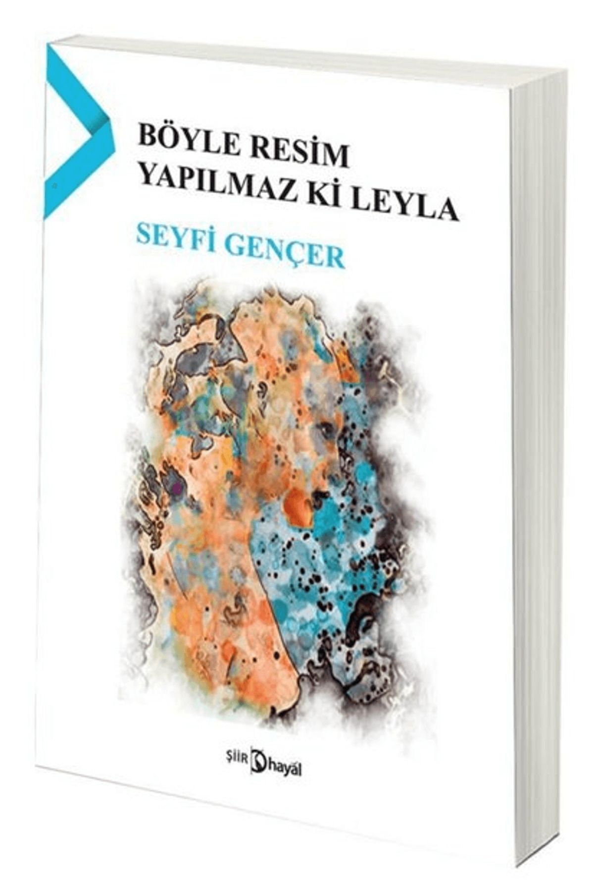 Hayal Yayınları Böyle Resim Yapılmaz ki Leyla