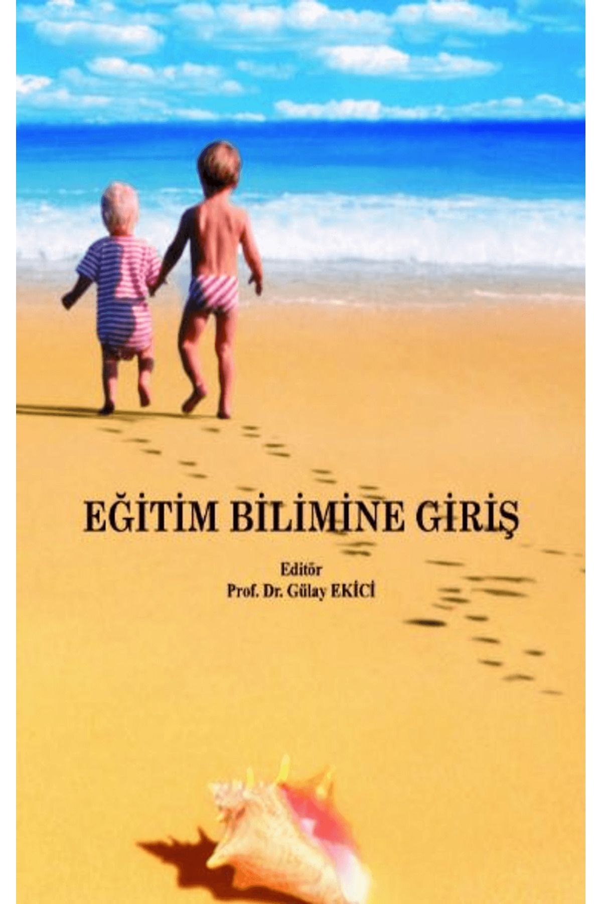 Paradigma Akademi Yayınları Eğitim Bilimine Giriş