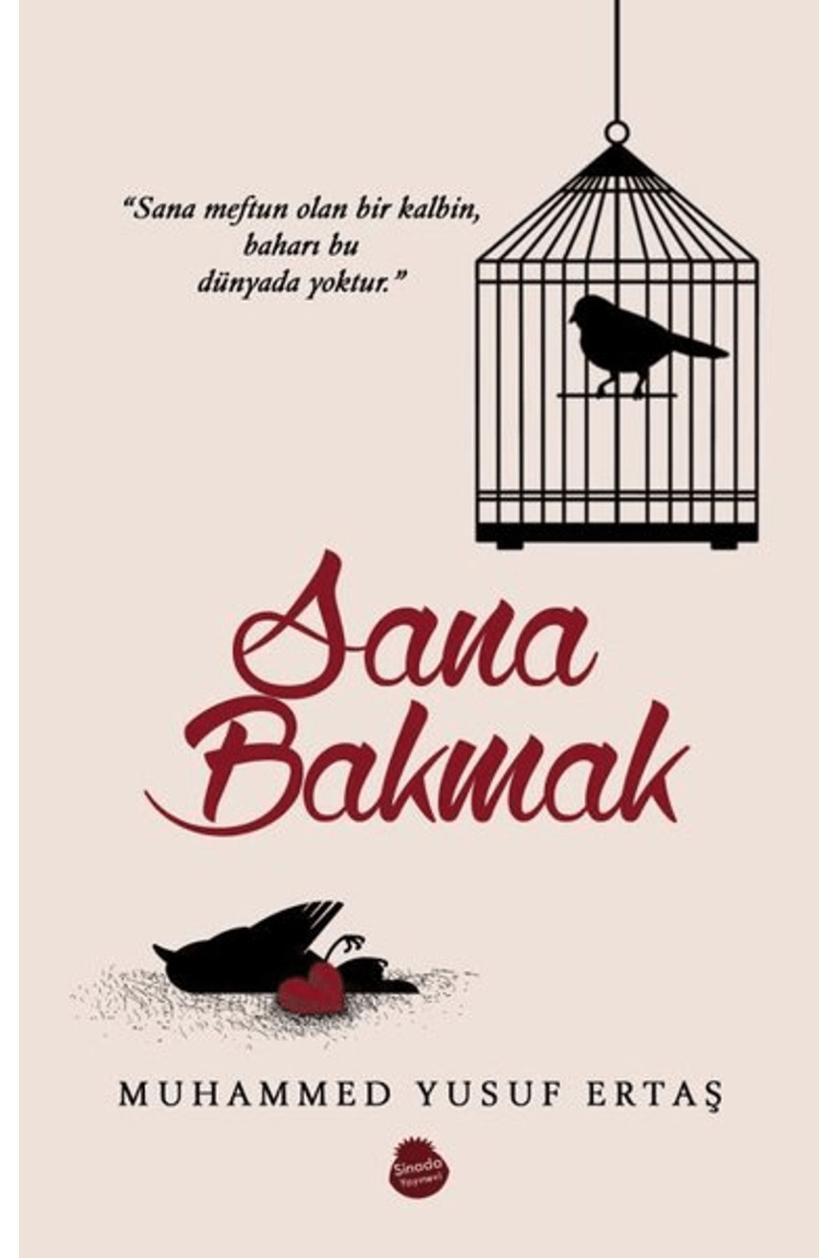 Sinada Kitap Sana Bakmak