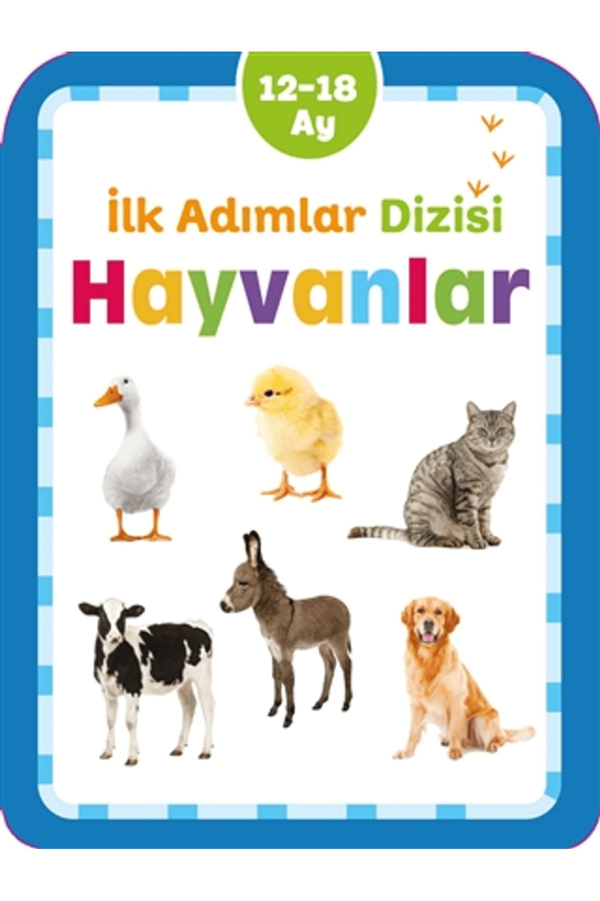 Net Çocuk Yayınları Hayvanlar - İlk Adımlar Dizisi