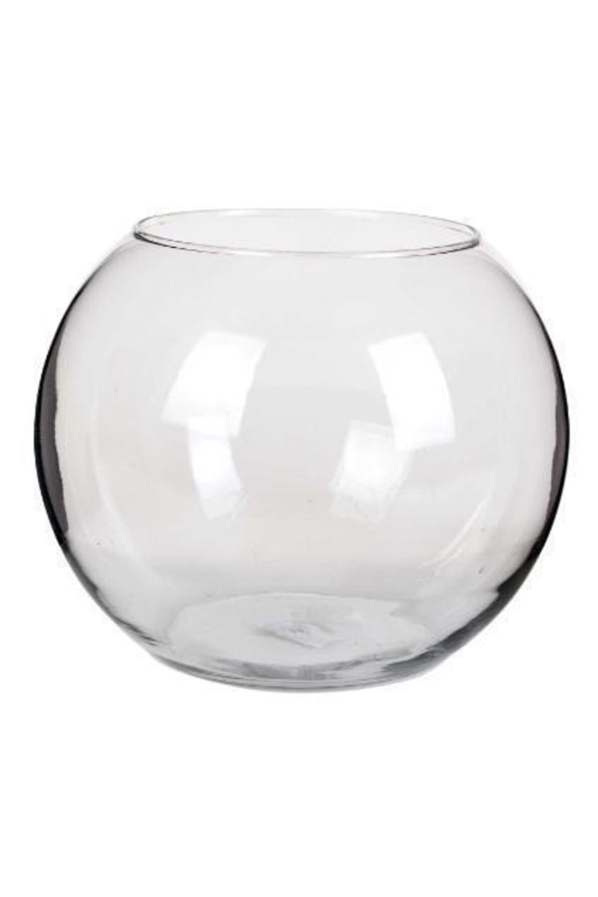 Elioure Şeffaf cam fanus, 19 cm yükseklik, 12 cm ağız genişliği, balık ve dekor amaçlı
